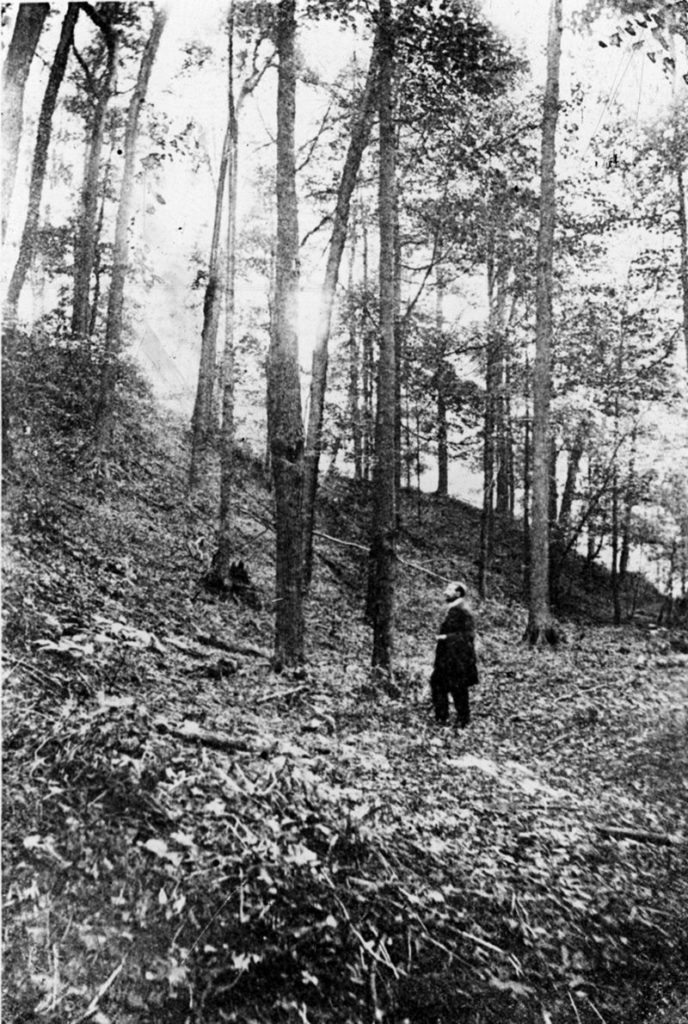 A man (Roland Orr) stands on a treed incline at the Lawson Site, looking uphill in this black and white image.