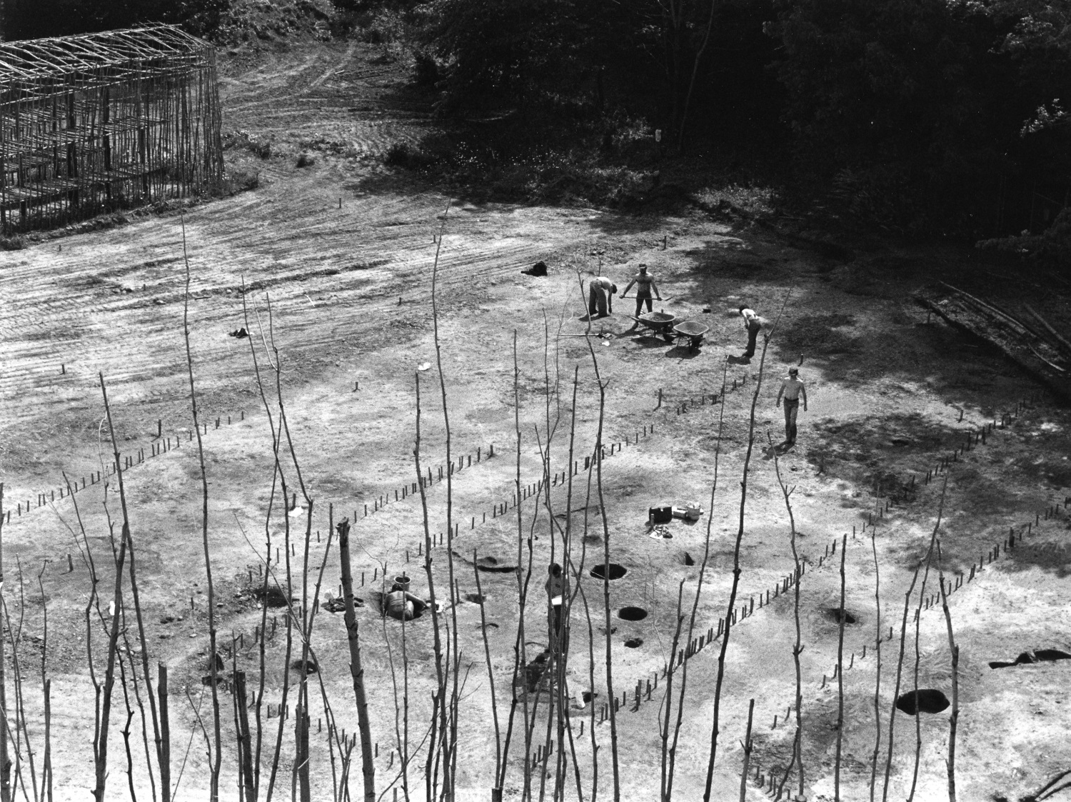 An oblique overhead of Field Stripping and Feature Marking on the Lawson Site in 1979. Five workers use shovels and wheelbarrows to uncover the site. Post holes of former longhouses are outlined with stakes. The longhouse reconstruction and palisade are visible in the background and foreground respectively.