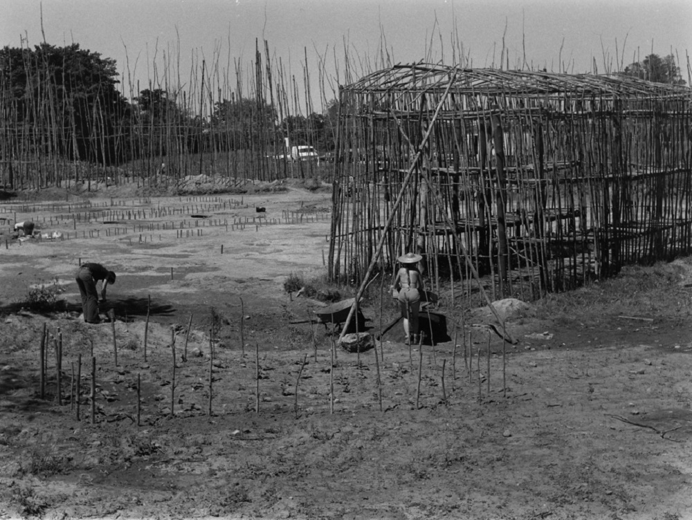 Image of Field Stripping and Feature Marking on the Lawson Site in 1979. Three workers appear in the proccess of uncovering the site. Post holes of former longhouses are outlined with stakes. The longhouse reconstruction and palisade are visible in the foreground and background respectively.