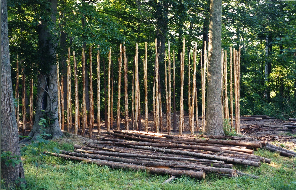 A 2002 image of the frame of a small longhouse under construction at the Lawson Site