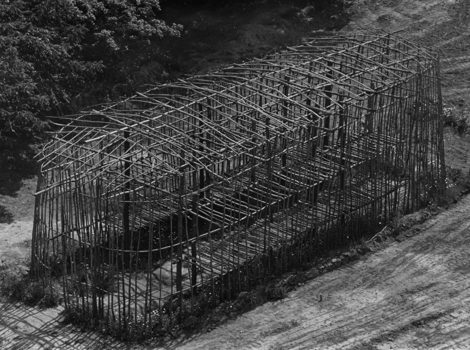 An overhead oblique view of the 1980 longhouse structure. The building is a frame without covering