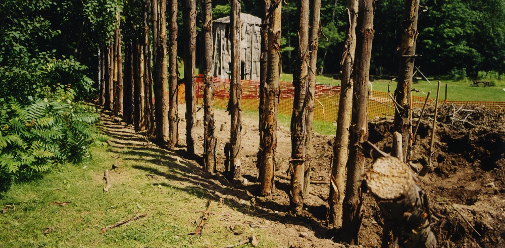 A row of vertically installed poles consisting of roughly stripped logs are shown in this year 2000 reconstruction of the palisade at the Lawson Site