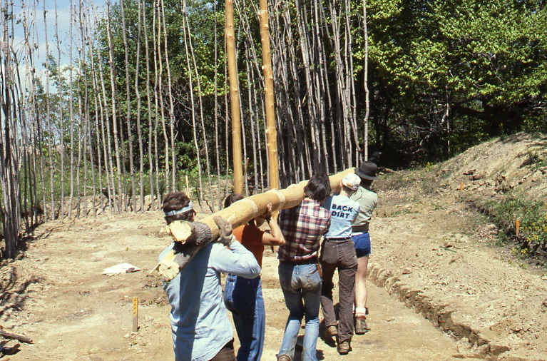 Five workers carry a large primary structural pole to the 1980 Longhouse reconstruction