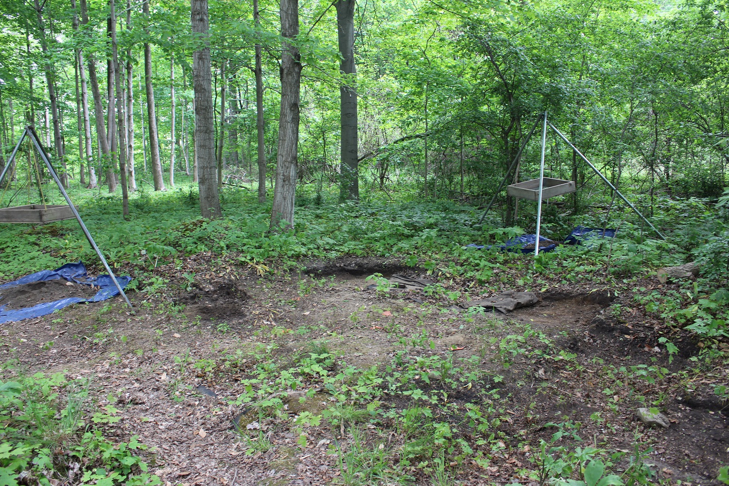 Two tripod screens are visible besides an old excavation in the process of being rehabilitated during the 2016 UnField School