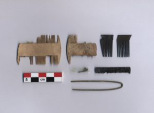 Seven hair accessory artifacts including comb fragments. A scale bar is shown underneath.
