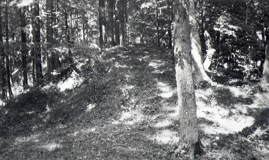 A black and white image showing a raised earth area in a dense forest. A trail is just visible along the earthwork.