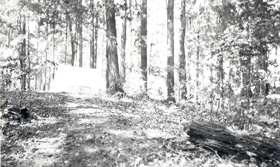 A white tent stands out against the forest in this black and white image of the Lawson Site from the 1920s.