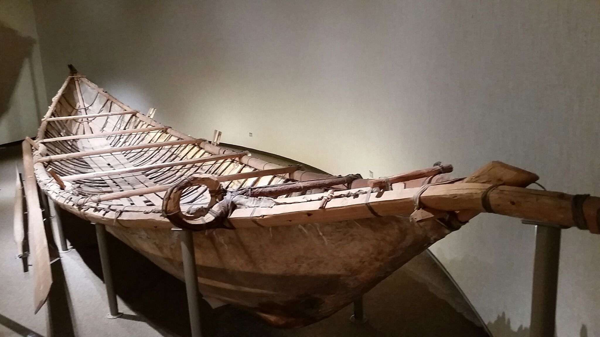 A preserved mooseskin boat (a large wide canoe) on display at the Prince of Wales Northern Heritage Centre