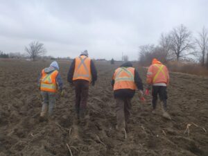 Picture of four team members in the field.