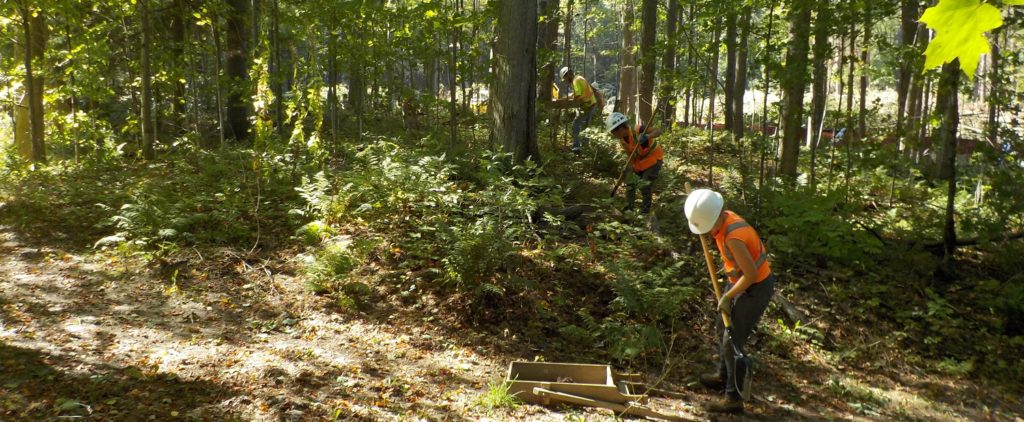 Two workers dig testpits in a forest